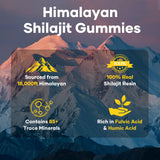 Balincer Pure Shilajit Gummies – ingrédients minéraux et acide fulvique.