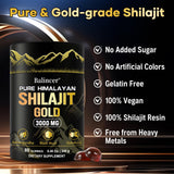 Balincer Pure Shilajit Gummies – sac voyage, à emporter partout.