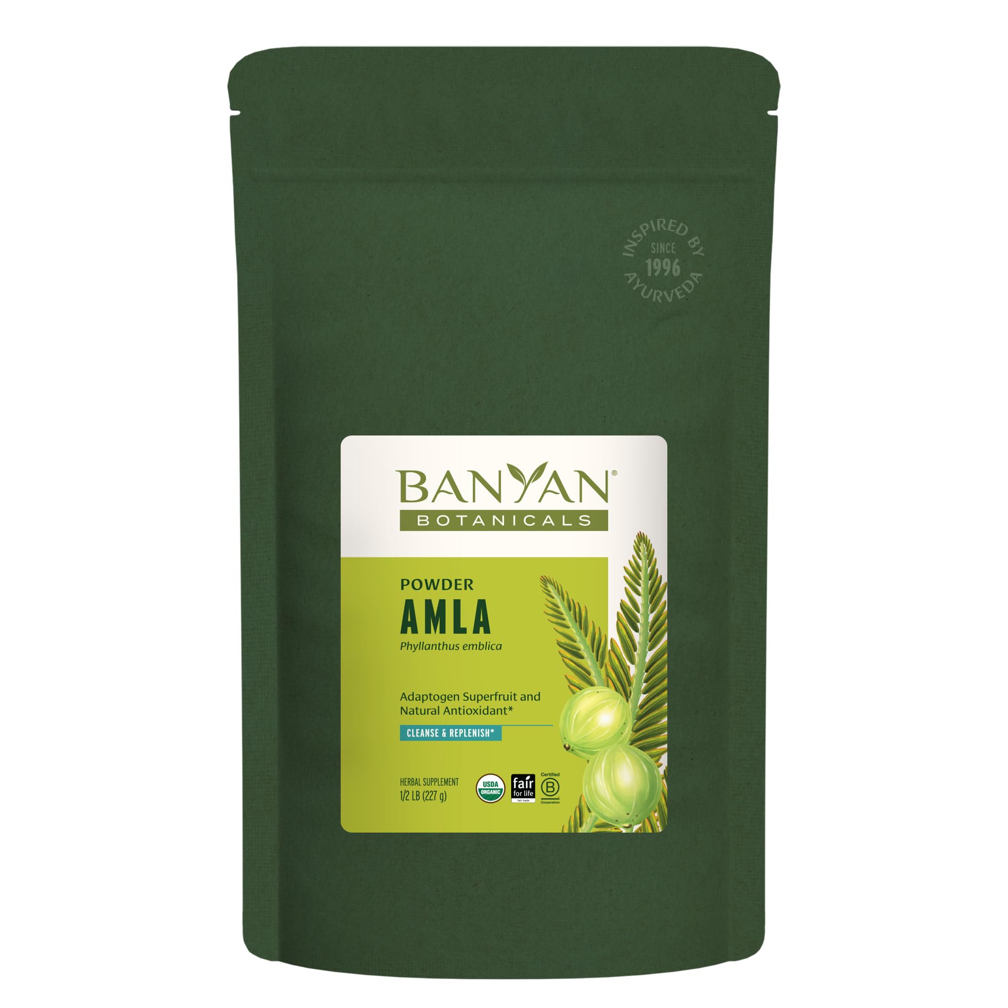 Poudre d'amla Banyan Botanicals en bouteille, soutien potentiel à la digestion.