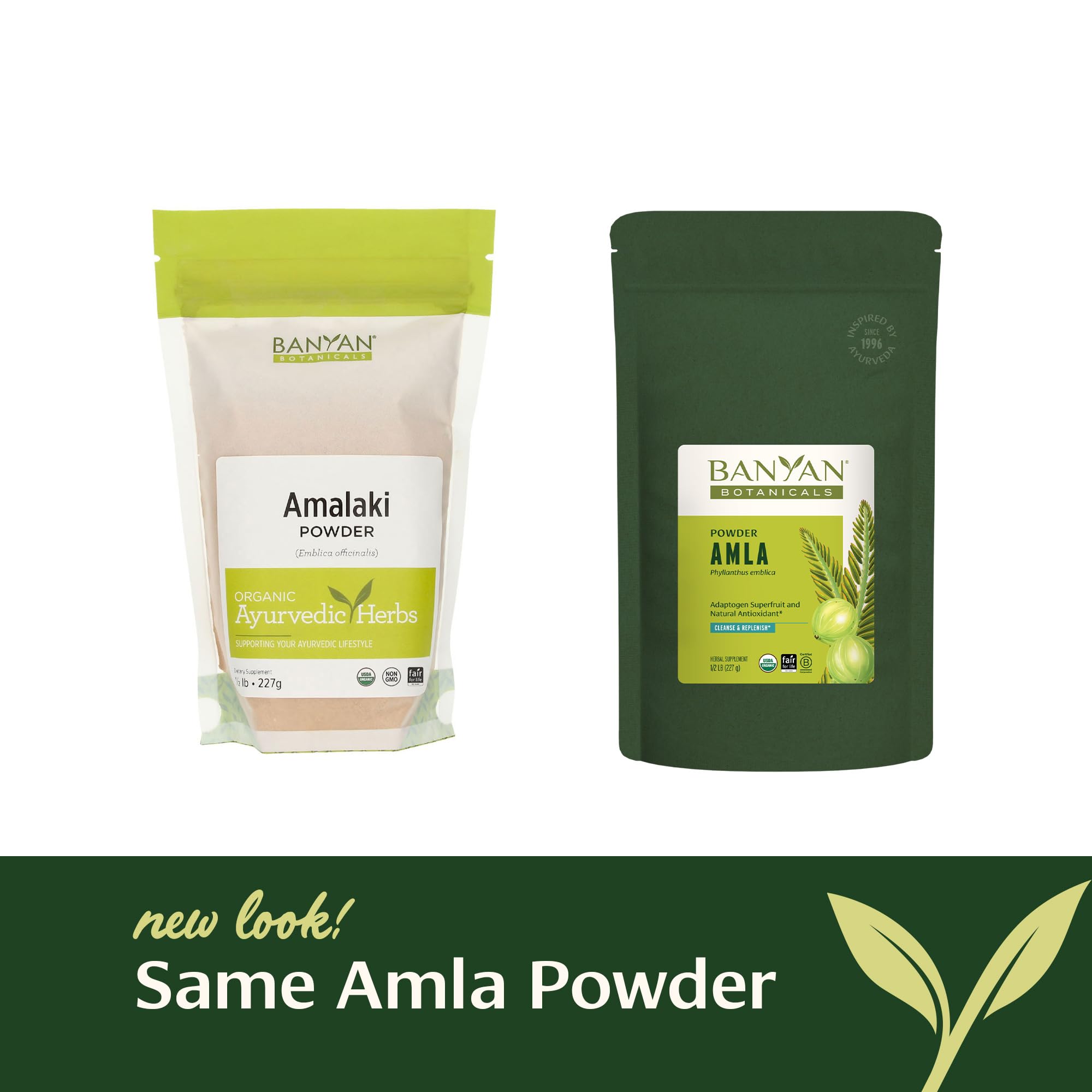 Utilisation saine: boisson ou smoothie avec la poudre d'Amla.