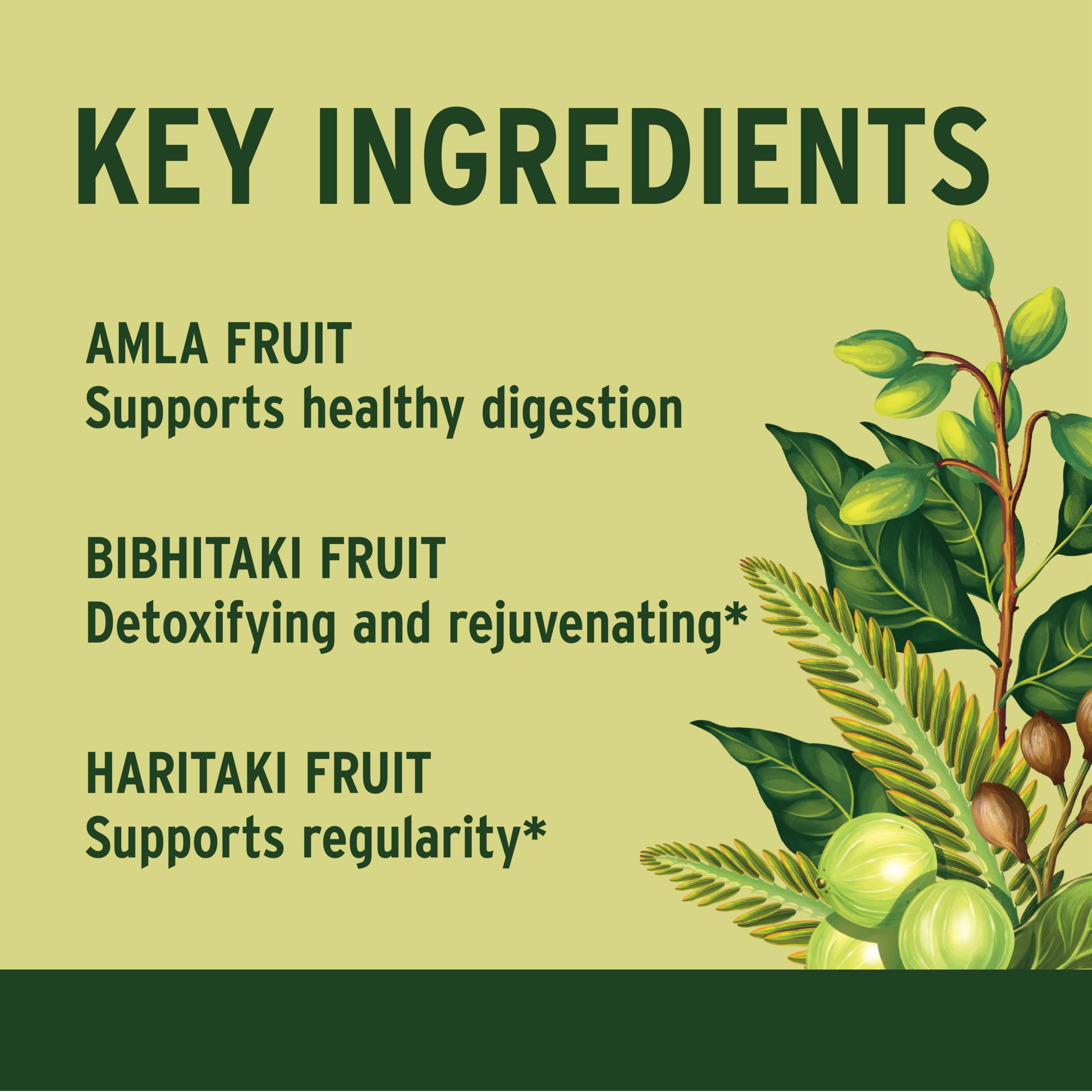 Ingrédients Triphala: amla, haritaki et bibhitaki issus de l'agriculture biologique