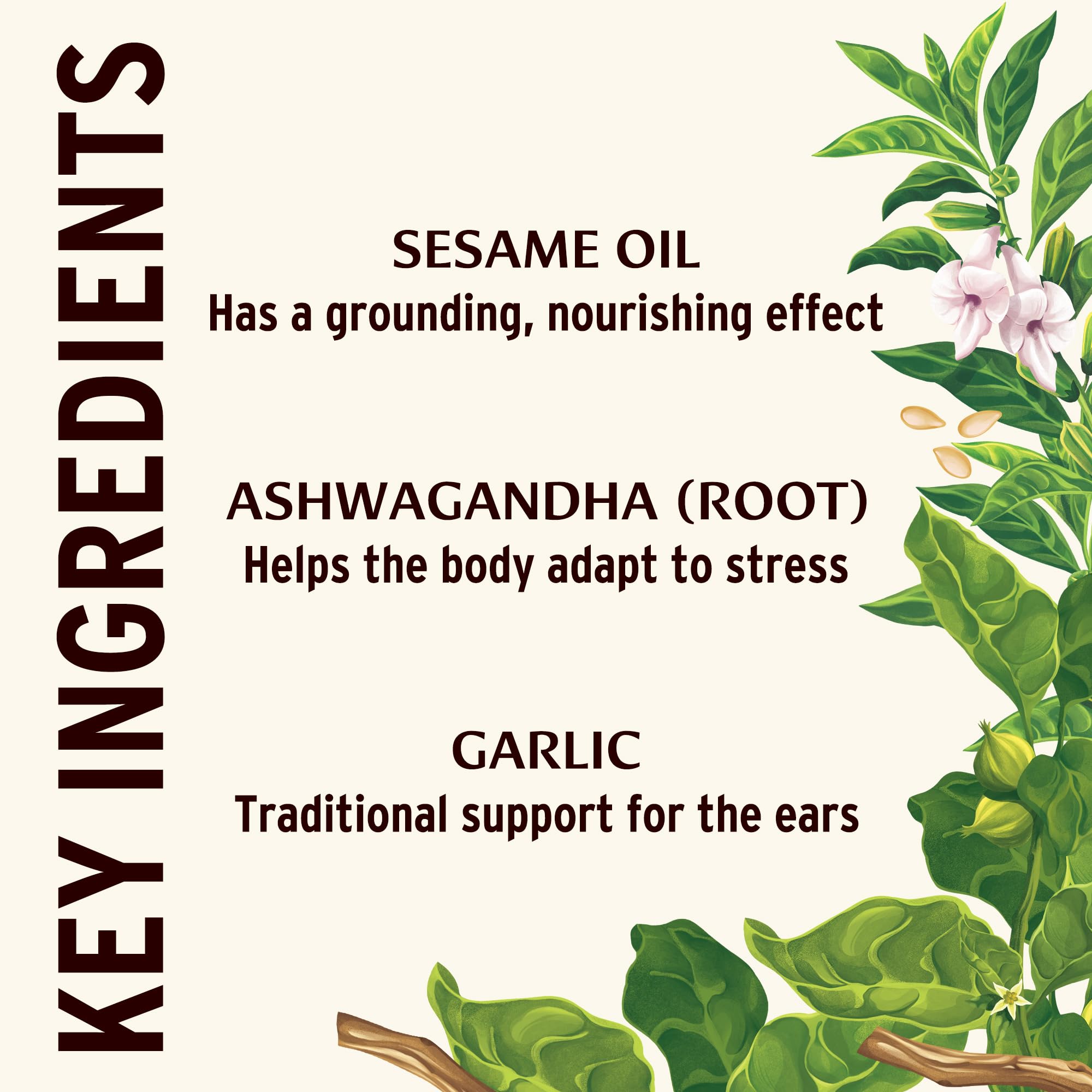 Gouttes d'oreille Banyan Botanicals avec compte-gouttes, pratiques et apaisantes.