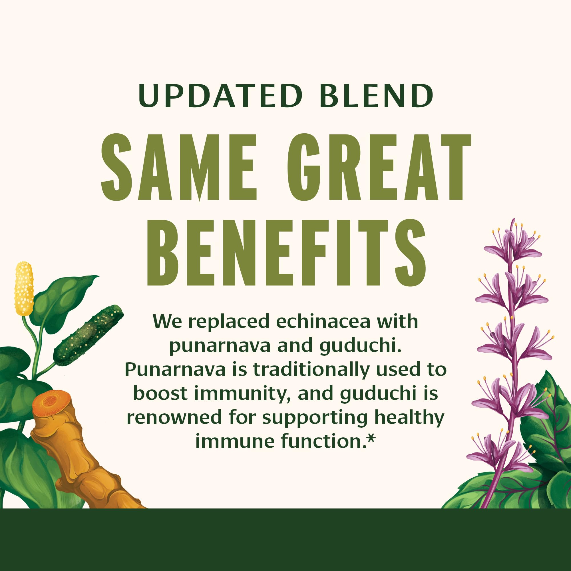 Banyan Botanicals Renforce-immunité – ingrédients biologiques et traçabilité durable.