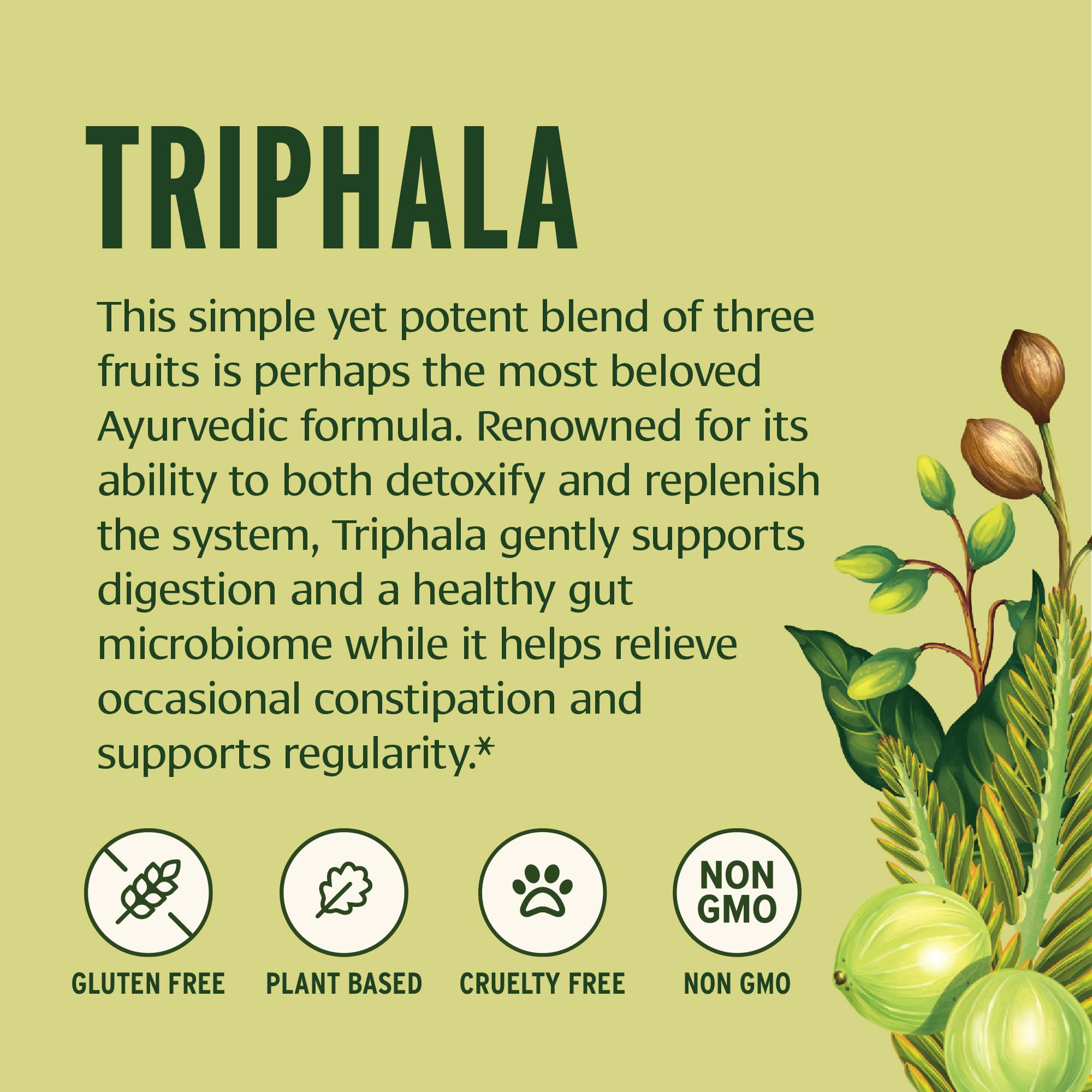 Étiquette bio et traçabilité du Triphala Banyan Botanicals.