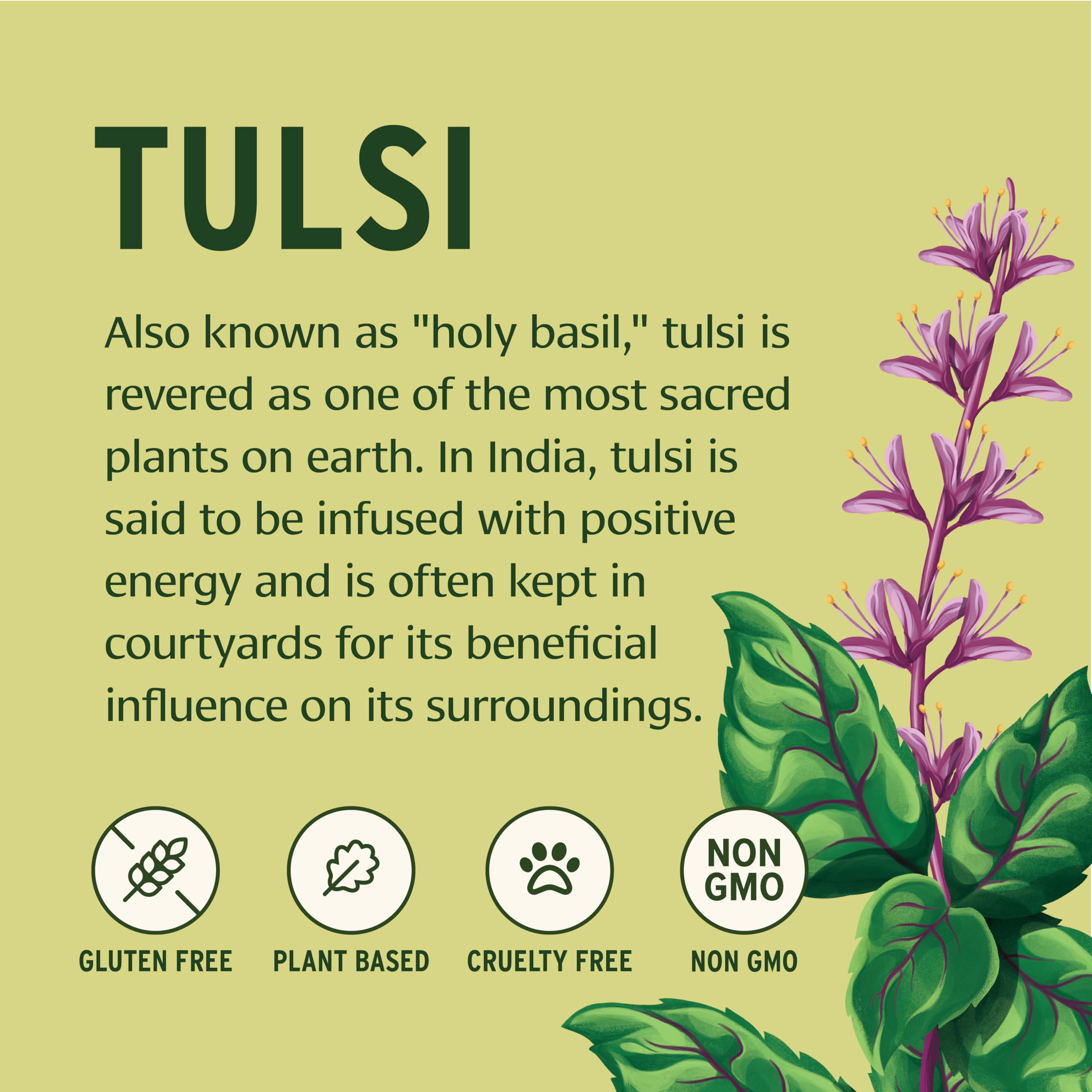 Étiquette biologique Banyan Botanicals Tulsi – certification biologique et traçabilité.
