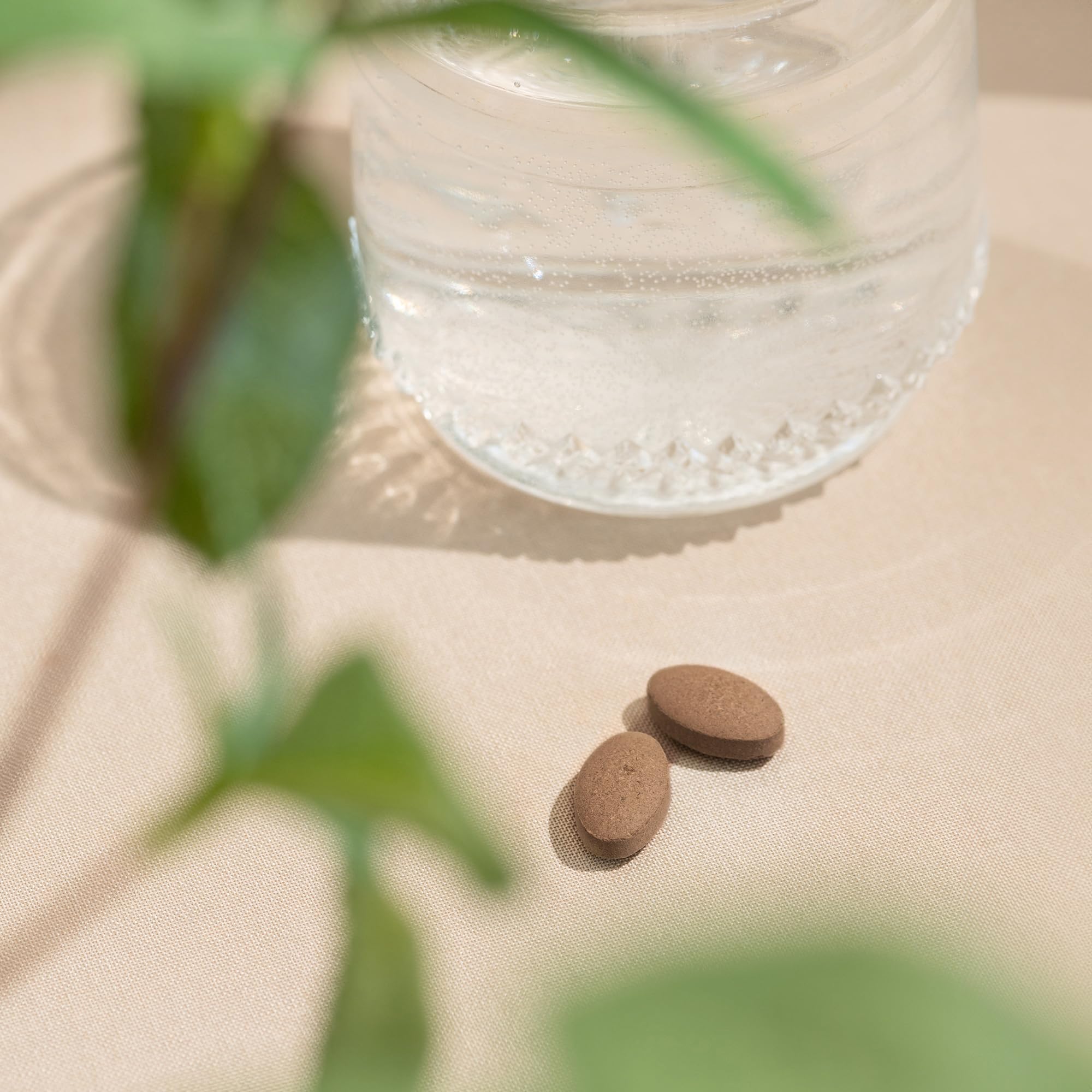 Végétal et non-OGM – Tulsi Banyan Botanicals pour un mode de vie sain.