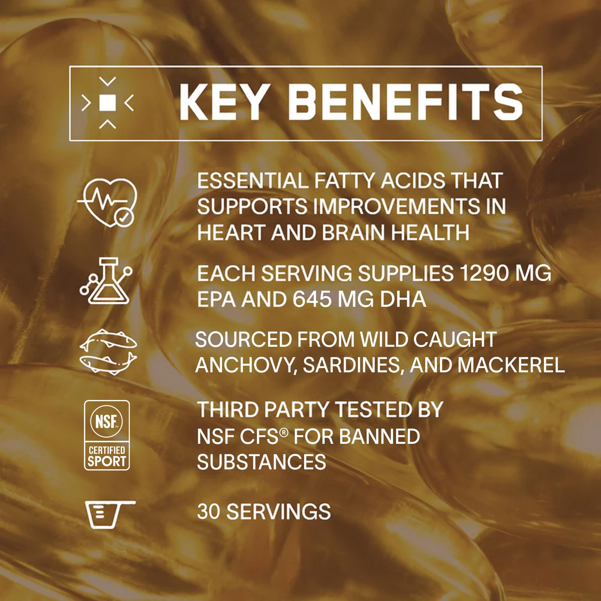 BARE PERFORMANCE NUTRITION Strong Omega: bouteille 30 portions pratique pour routine journalière