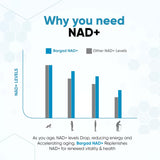 Bargad 60 gélules – conditionnement pratique et dosage quotidien.