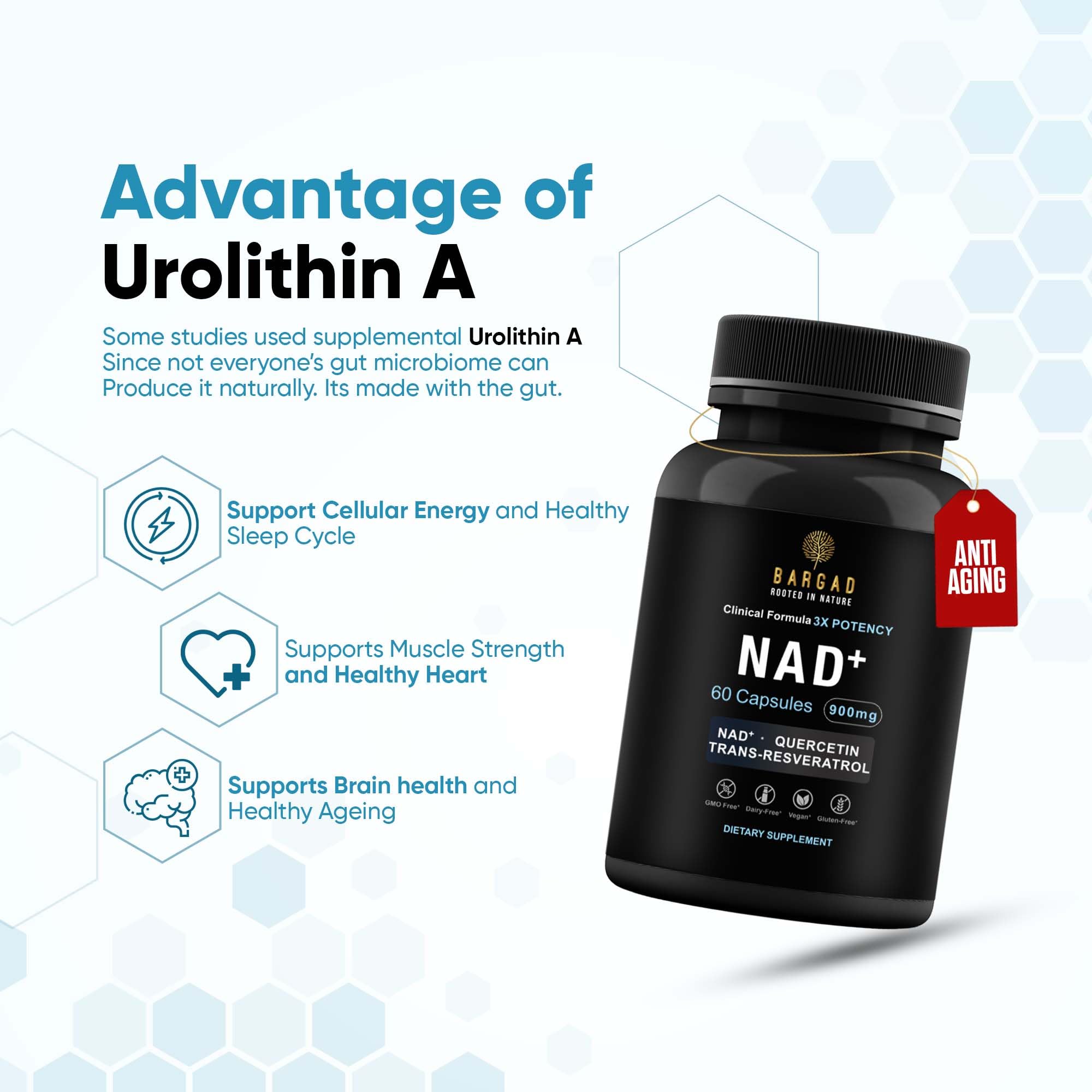 Bargad NAD liposomal – soutien potentiel des mitochondries et énergie durable.