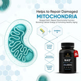 Bargad Résveratrol et Quercétine – complément riche en antioxydants pour le quotidien.