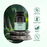 Bargad Serotonin Support – routine quotidienne: forme pratique pour une assise mentale stable.