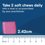Dose individuelle Bariatric Fusion gomme saveur pastèque, usage quotidien simplifié.