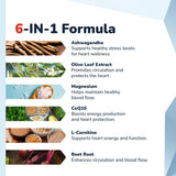 Barton Nutrition Olive Leaf extrait-capules: capsules pour le bien-être général