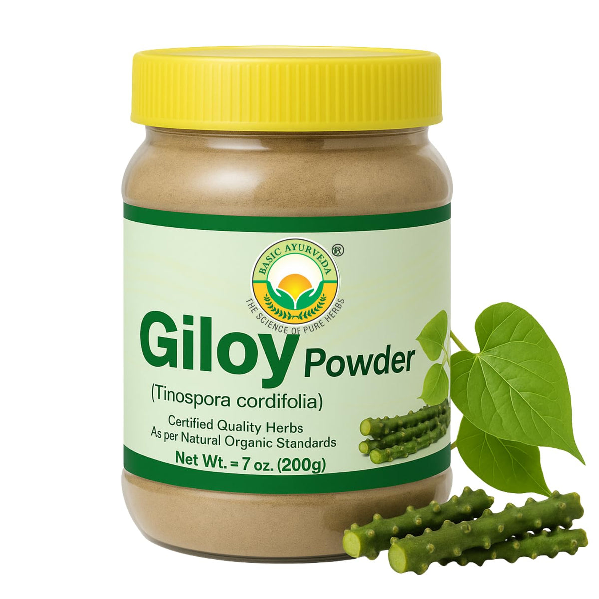 Giloy BASIC AYURVEDA dans une bouteille ouverte pour infusion quotidienne