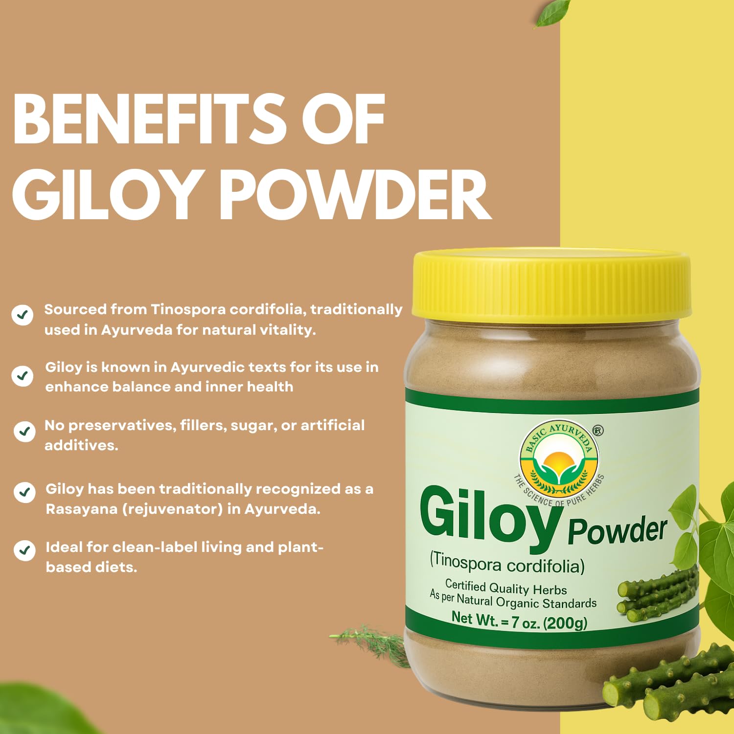Emballage Giloy BASIC AYURVEDA avec etiquette claire et simple