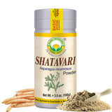 Basic Ayurveda Shatavari poudre dans bouteille – soutien au bien-être féminin.