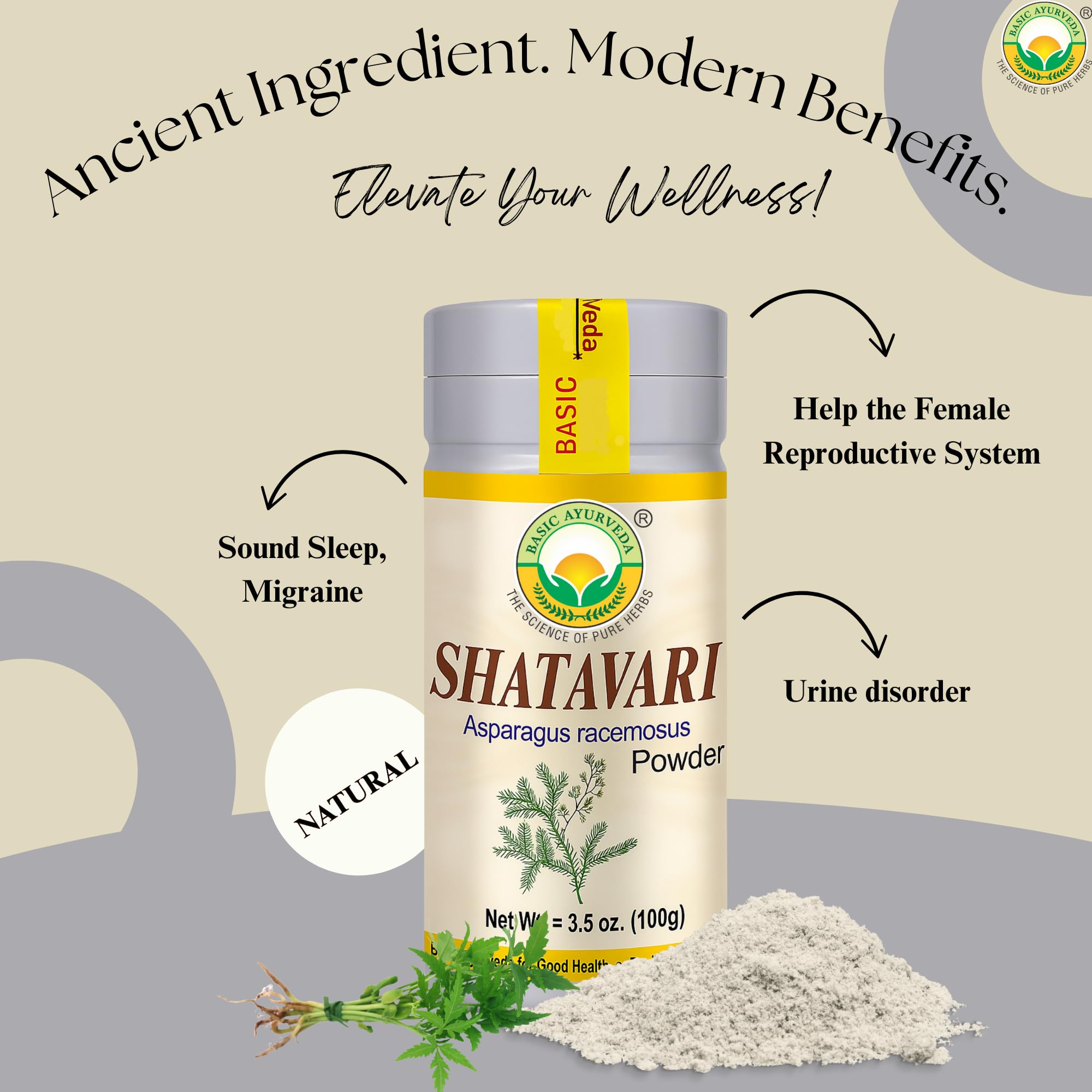 Shatavari poudre prête à être mélangée dans des smoothies.