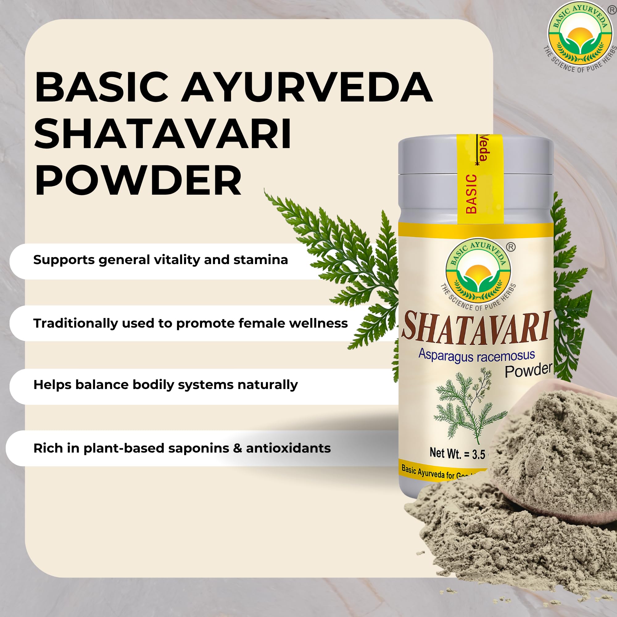 Texture fine de Shatavari poudre, idéale pour lait chaud.