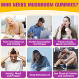 Basopum gommes champignons – dose quotidienne recommandée sur l'étiquette.