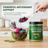 BDQBDQ Champ de Verdure: shaker rapide pour une dose quotidienne équilibrée.