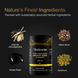 Be Bodywise gommes Shilajit pur gold, boîte individuelle pratique à emporter