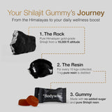 Gommes Be Bodywise Shilajit pur gold, texture et goût agréables pour le quotidien