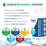 Bouteille Electrolyze BEAM MINERALS pour une hydratation efficace.