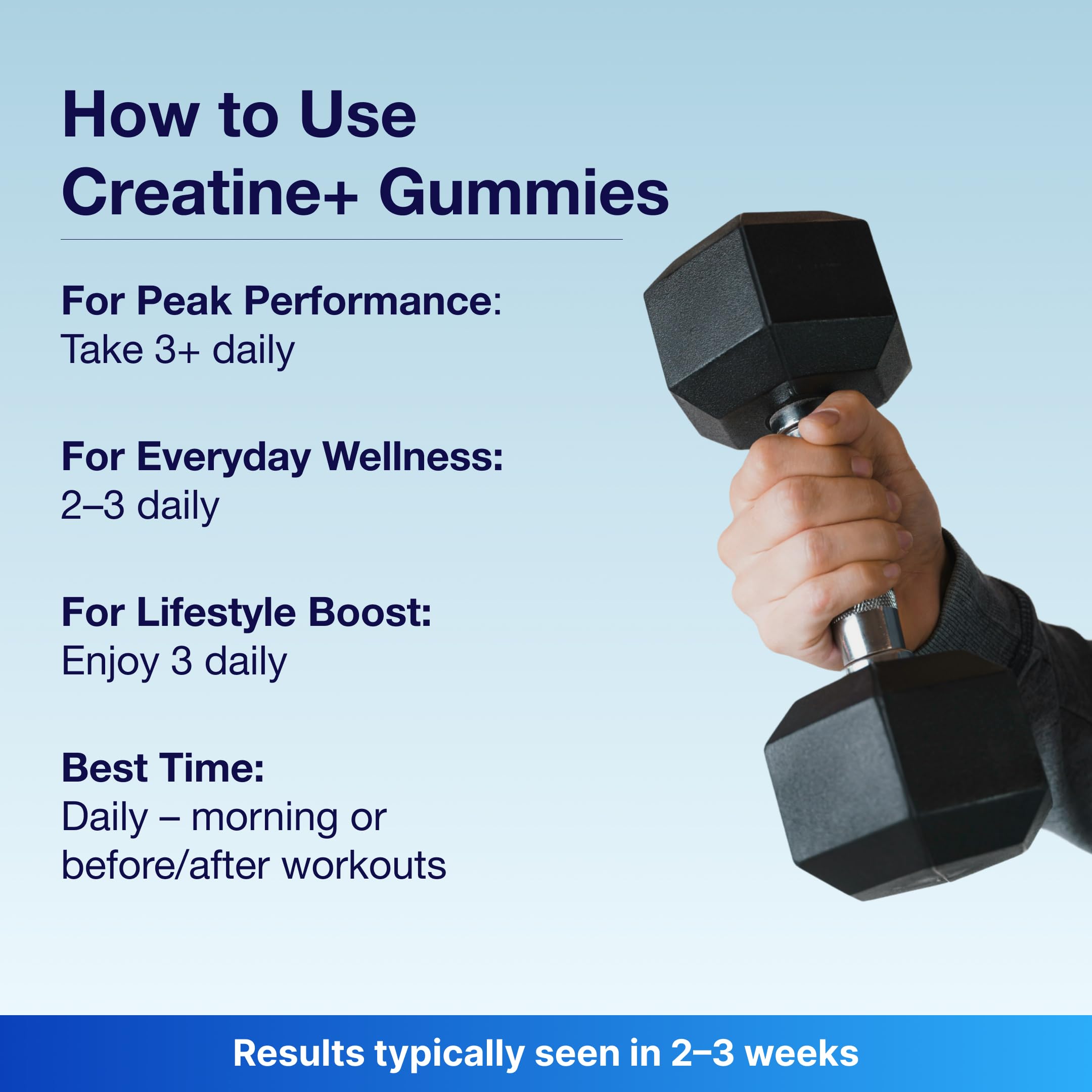 Bear Balanced Creatine Gummies – prise rapide après l'entraînement pour récupération.
