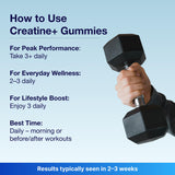 Bear Balanced Creatine Gummies – prise rapide après l'entraînement pour récupération.