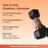 Bear Balanced Gommes: rituel quotidien facile pour énergie et concentration