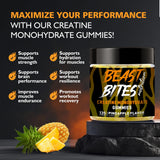 Gomme BEAST BITES Nutrition créatine monohydrate – gommes ouvertes, dosage rapide après l’effort.