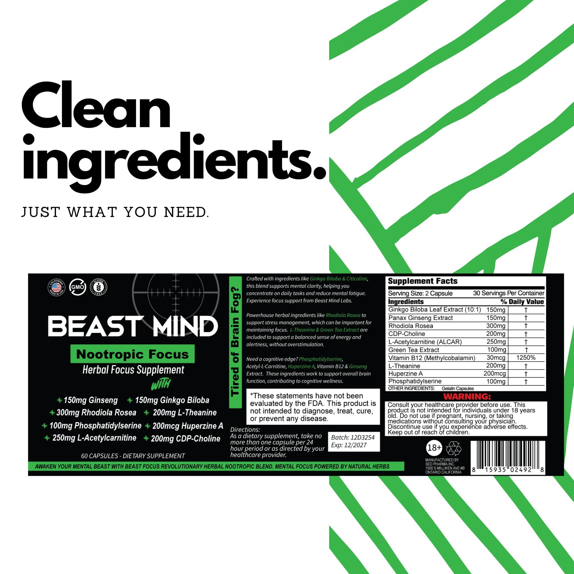 Beast Mind Focus: scène de travail favorisant concentration et équilibre mental