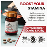 Bee & You ginseng coréen rouge – énergie stable et endurance pour sportifs