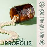 Beekeeper's Naturals Complete Gut Health – Megaduo, probiotiques résistants pour l'intestin