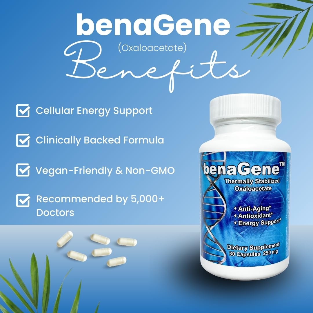 Benagene Oxaloacétate : étiquette démontrant végan et sans OGM