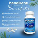 Benagene Oxaloacétate : étiquette démontrant végan et sans OGM