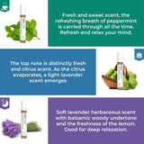  Benatu Équilibre roll-on: notes d'agrumes, menthe et lavande pour concentration et calme.