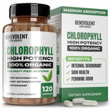 Capsules Benevolent Chlorophylle 350 mg, vue produit, énergie potentielle et vitalité quotidienne.