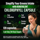 Déodorant interne potentiel avec Benevolent Chlorophylle, capsule concentrée.