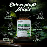 Capsules Benevolent Chlorophylle 350 mg, soutien potentiel à l’énergie au quotidien.
