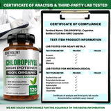 Capsule Benevolent Chlorophylle 350 mg, pureté et traçabilité.