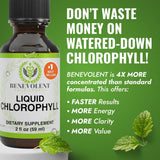 Gouttes Benevolent Nourishment Chlorophylle, pipette: déodorant interne potentiel et fraîcheur durable.
