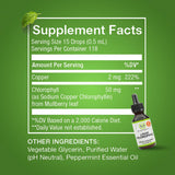 Gouttes chlorophylle Benevolent Nourishment, flacon: goût menthe rafraîchissant et prise facile.