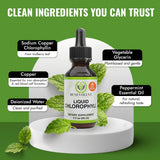 Gouttes chlorophylle Benevolent Nourishment, présentation: format pratique pour routine quotidienne.