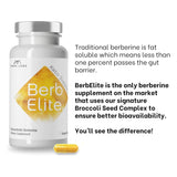 Comparaison biodisponibilité : BerbElite et les compléments traditionnels.