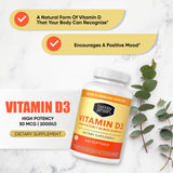 berkley jensen vitamine d3 ostéocalcine et densité osseuse - soutien potentiel
