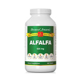 Boîte Bernard Jensen's Alfalfa 625 mg, prête à l’emploi pour une routine quotidienne.