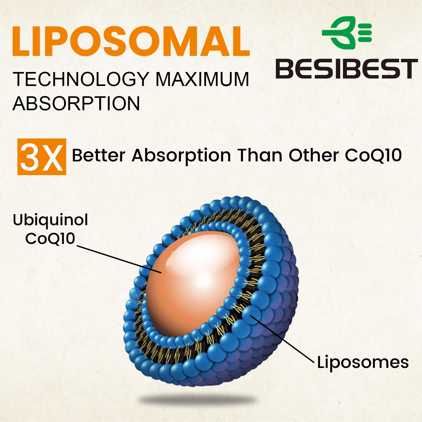 Gélules végétales Besibest CoQ10 liposomal présentées sur une plaque.