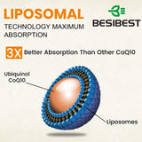 Besibest: fiche ingrédients CoQ10 liposomal et lecithine de tournesol