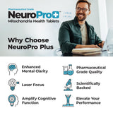 Best 365 Labs NeuroPro+ tablettes dans un verre, facilité d'utilisation quotidienne.